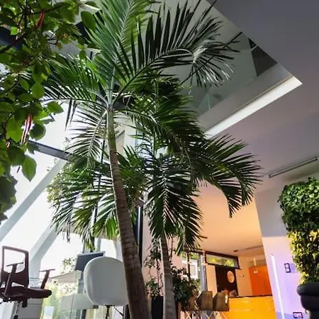Luxurioeses Designhaus Mit Garten Villa